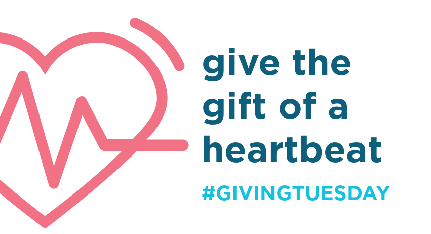 Give the Gift of a Heartbeat Giving Tuesday 2018 SAve the Storks