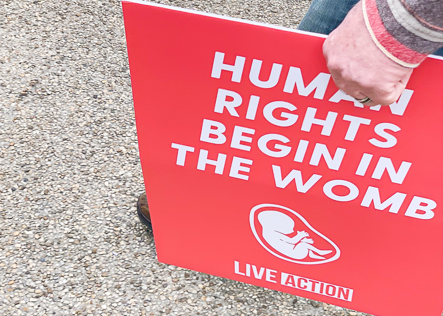 human rights in the womb