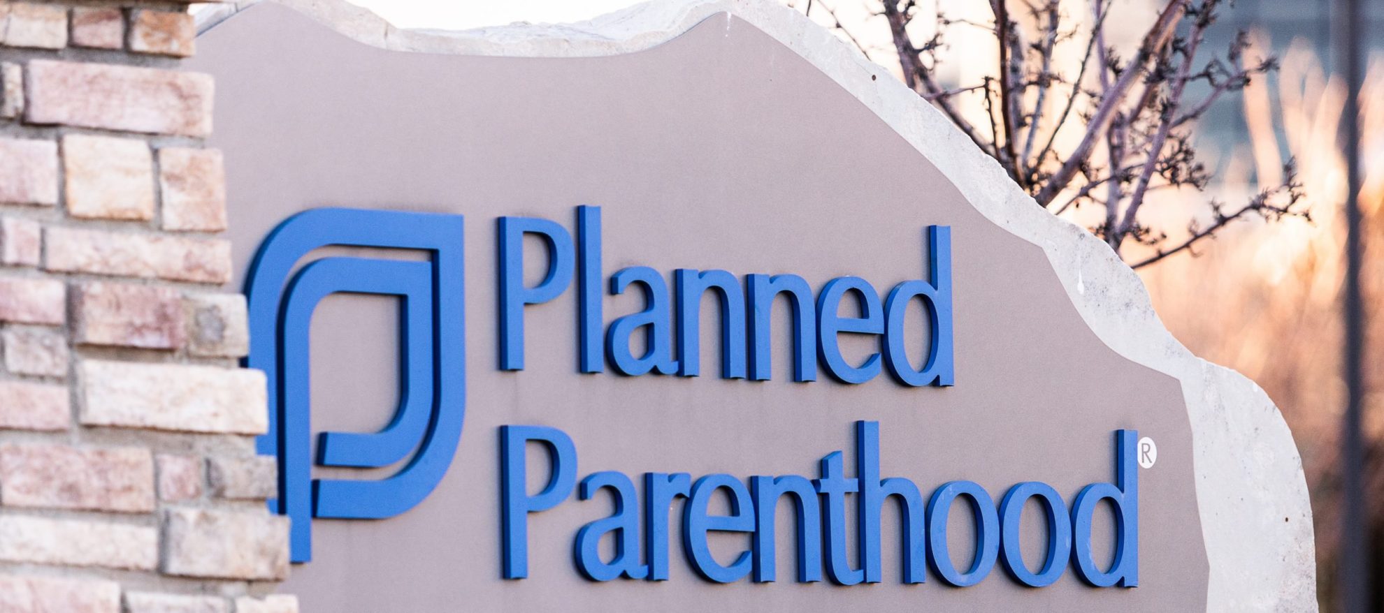 5-facts-from-planned-parenthood-s-2019-2020-annual-report