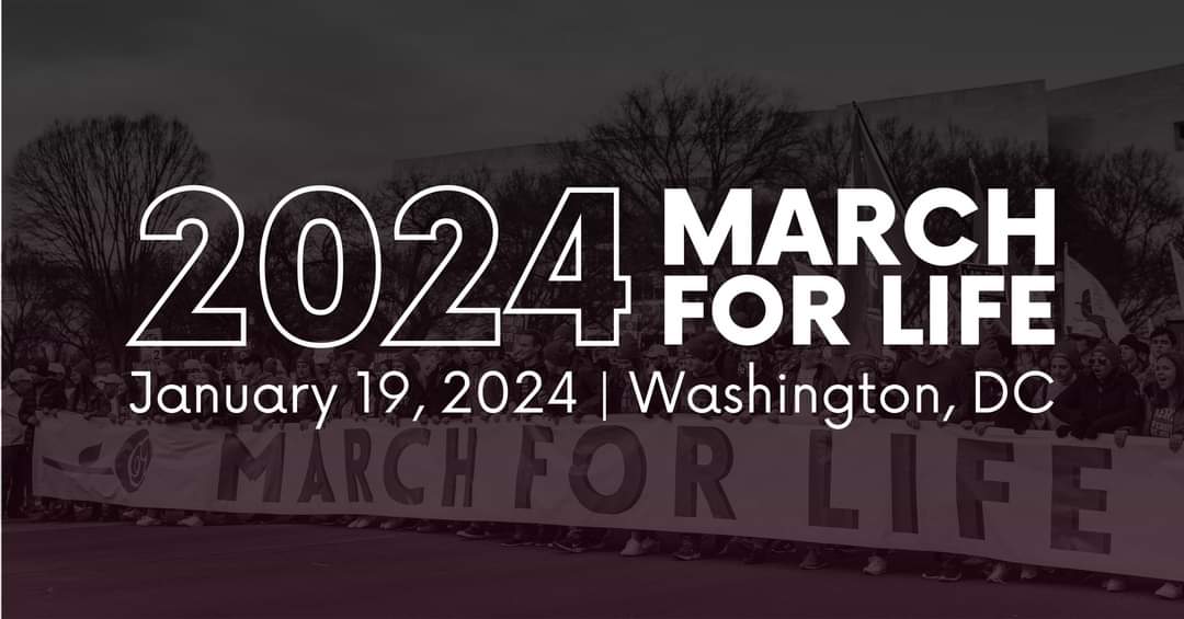 March for Life 2024 Tips Save the Storks